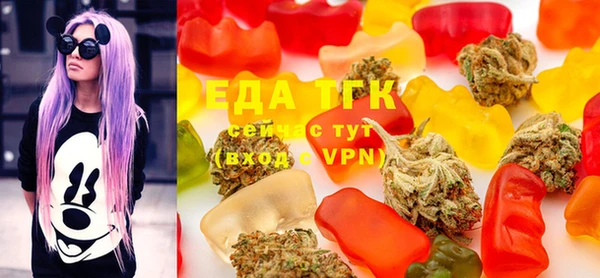 гашик Михайловск